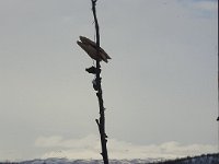20170430 190857