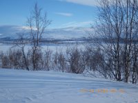 IMGP0026