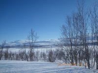 IMGP0041