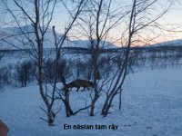 IMGP0054