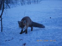 IMGP0059