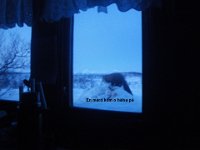 IMGP0088