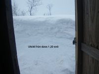 IMGP0118