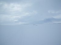 IMGP0129